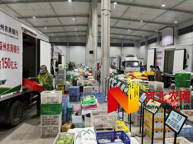 深州市農業產業項目帶動經濟發展加速度 日用百貨銷售新契機