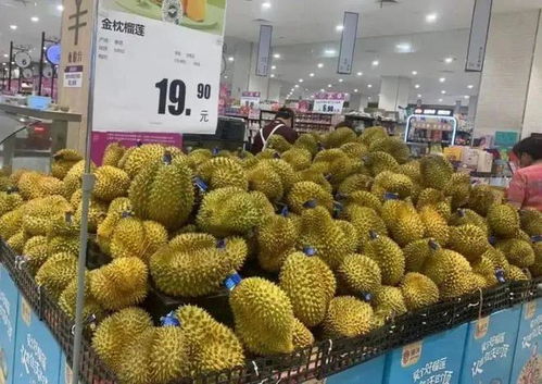 榴蓮價(jià)格腰斬，這趟“水果專(zhuān)列”立功了！