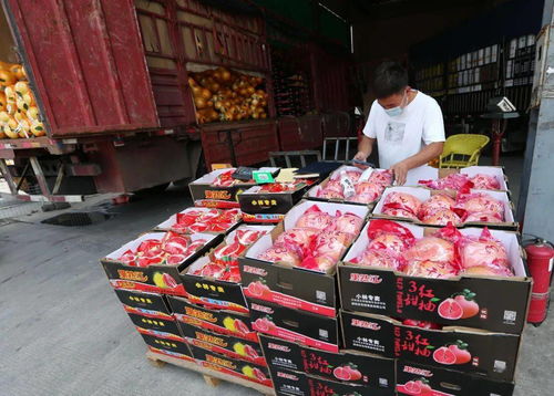 記者探訪萬(wàn)邦市場(chǎng) “菜籃子”供應(yīng)充足，價(jià)格平穩(wěn)有保障